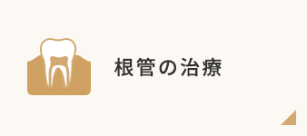 根管の治療