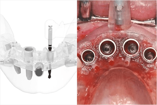 ノーベルガイド