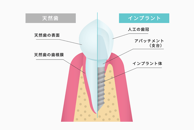 ノーベルガイド