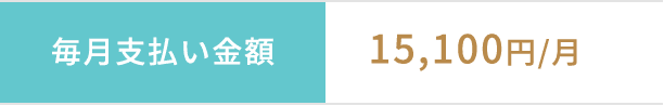毎月支払い金額15,100円/月