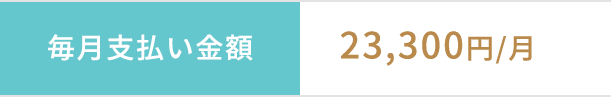 毎月支払い金額23,300円/月
