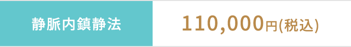 静脈内鎮静法 95,000円（税別）